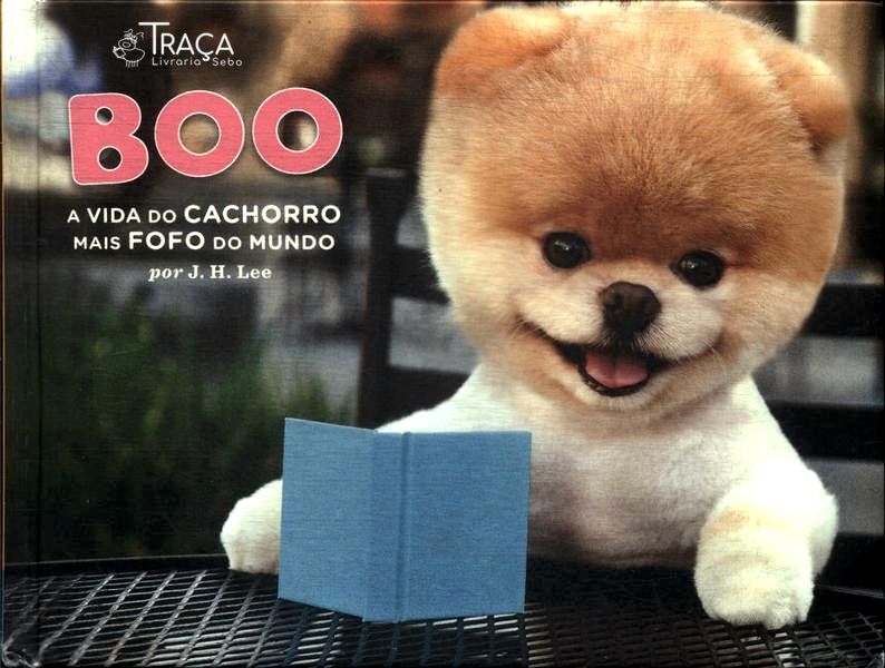 Boo: a Vida do Cachorro Mais Fofo do Mundo