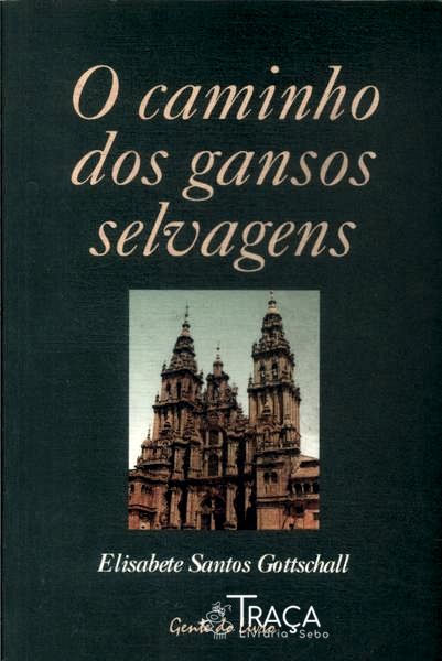 O Caminho dos Gansos Selvagens