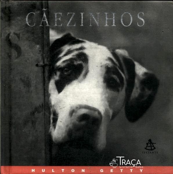 Cãezinhos