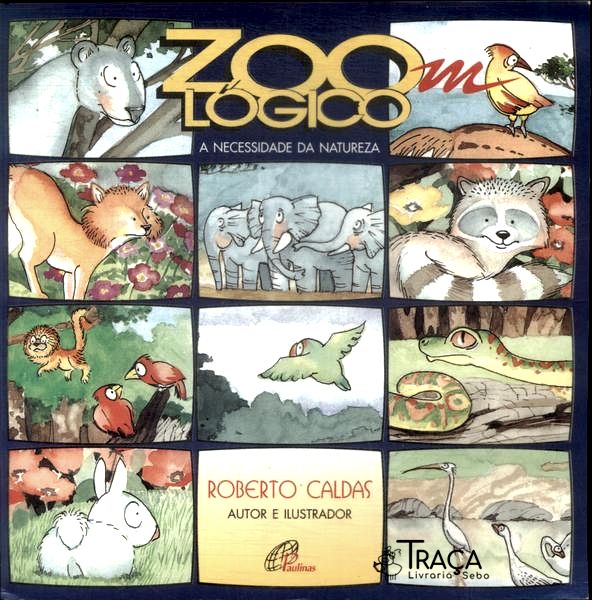 Zoom Lógico