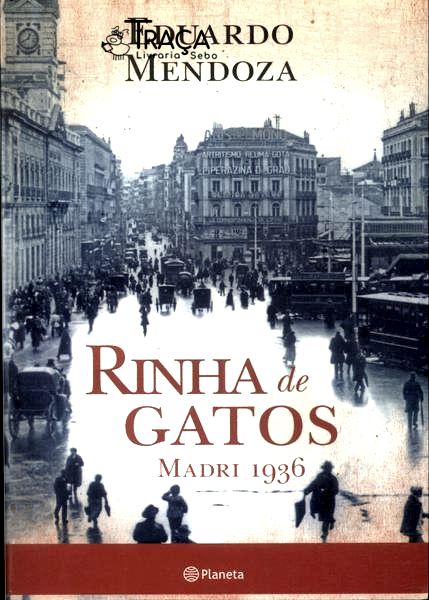 Rinha de Gatos