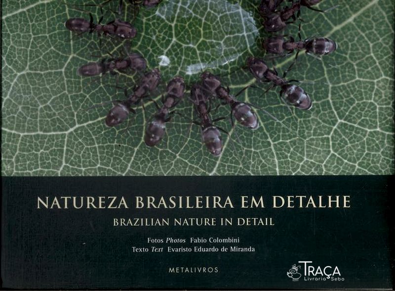 Natureza Brasileira em Detalhe