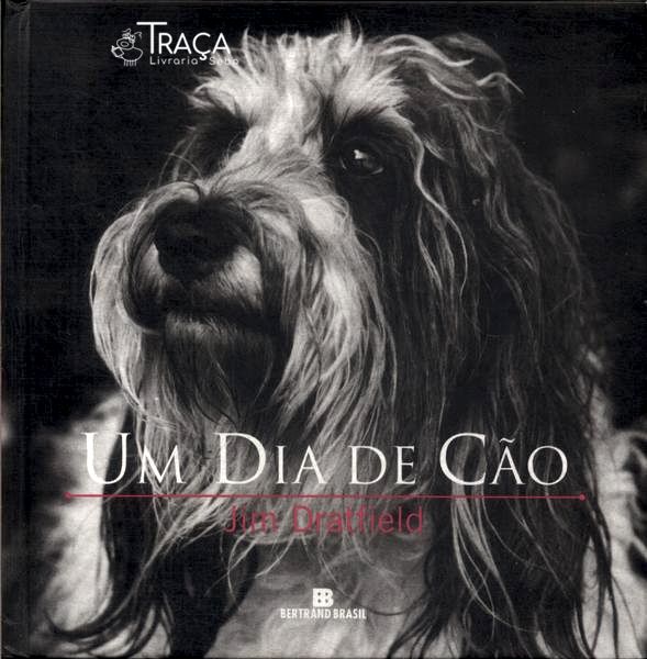 Um Dia de Cão