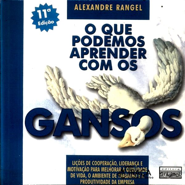 O Que Podemos Aprender com os Gansos