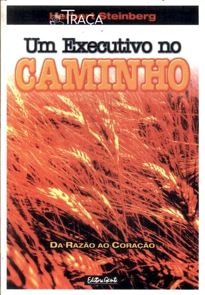 Um Executivo No Caminho