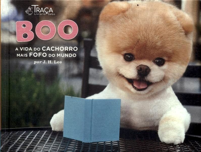 Boo: a Vida do Cachorro Mais Fofo do Mundo