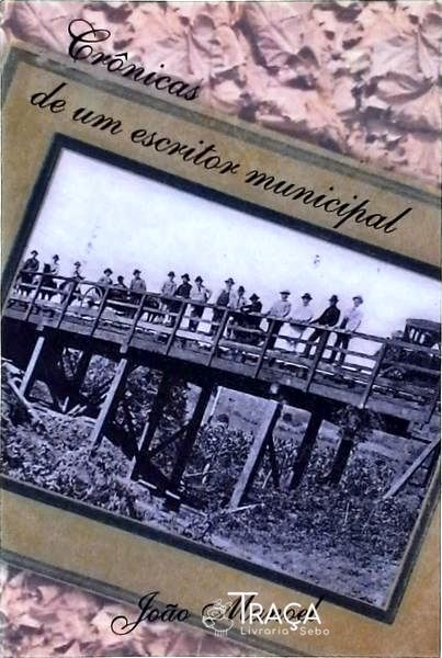 Crônicas De Um Escritor Municipal