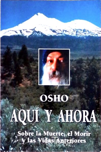 Aquí Y Ahora: Sobre La Muerte, El Morir Y Las Vidas Anteriores