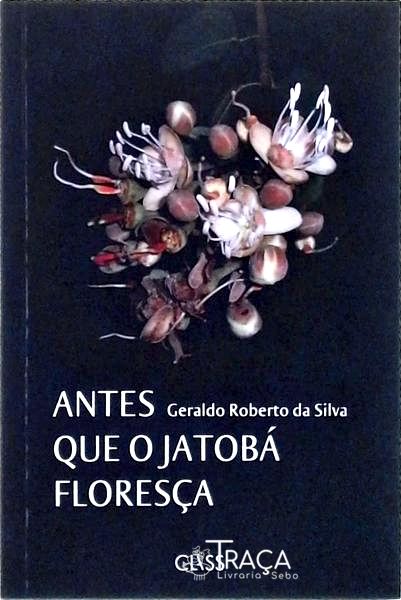 Antes Que o Jatobá Floresça