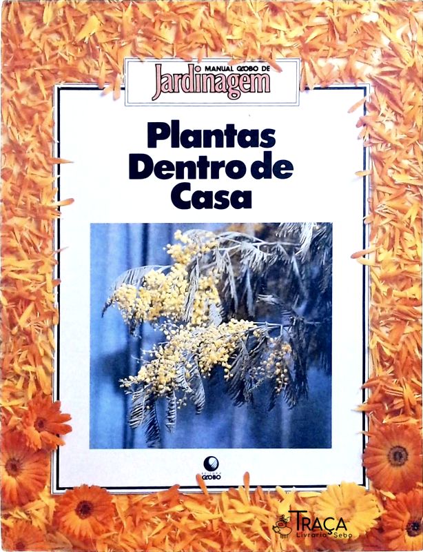 Plantas Dentro de Casa