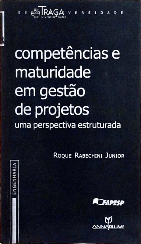 Competências e Maturidade em Gestão de Projetos: Uma Perspectiva Estruturada