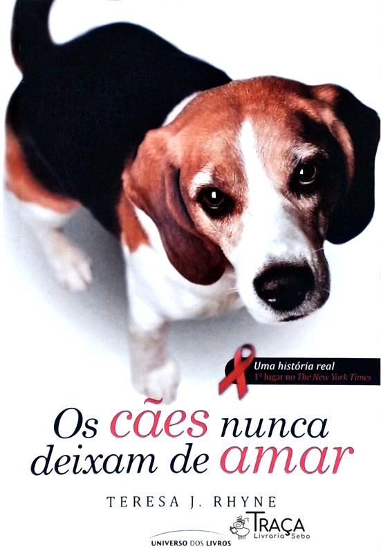 Os Cães Nunca Deixam de Amar