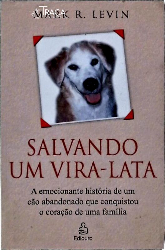 Salvando Um Vira-lata