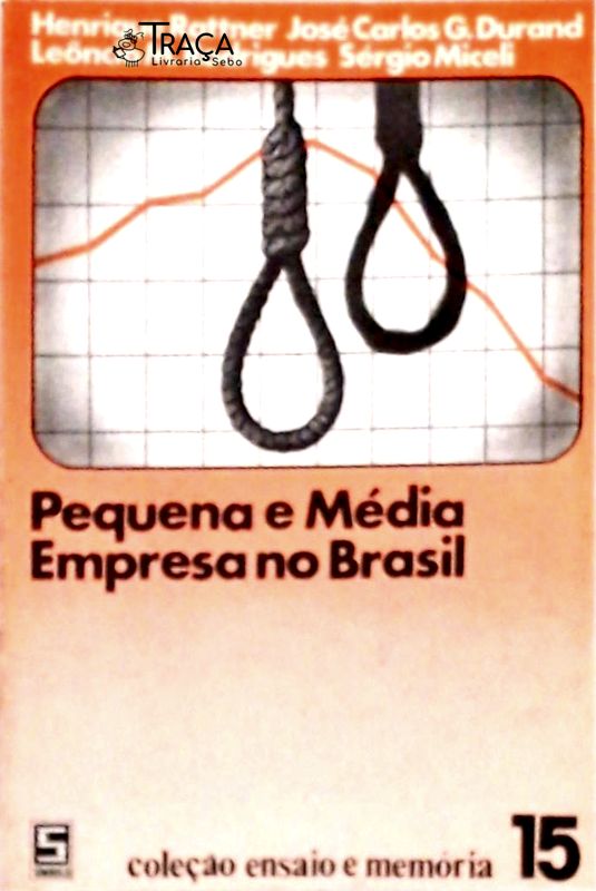 Pequena e Média Empresa No Brasil