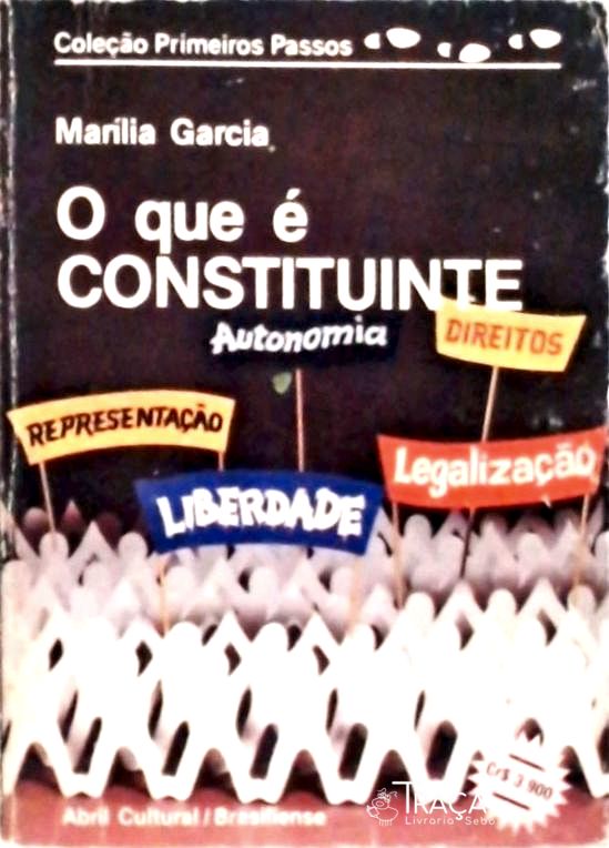 O Que É Constituinte