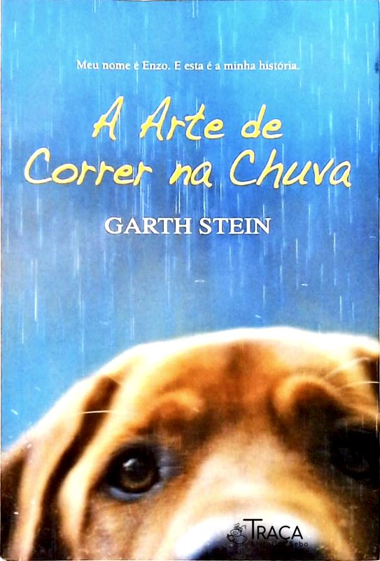 A Arte de Correr Na Chuva