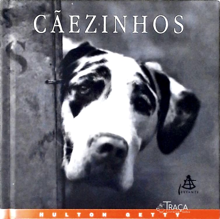 Cãezinhos - Uma Celebração Fotográfica