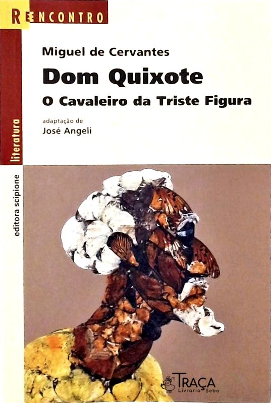 Dom Quixote - o Cavaleiro da Triste Figura (adaptado)