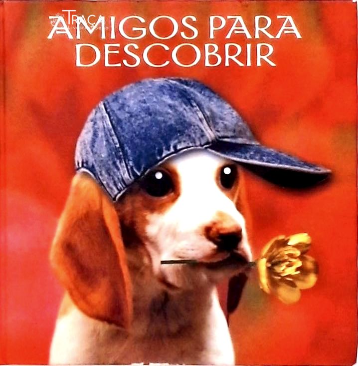 Amigos para Descobrir