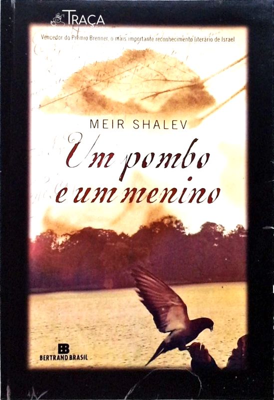 Um Pombo e um Menino
