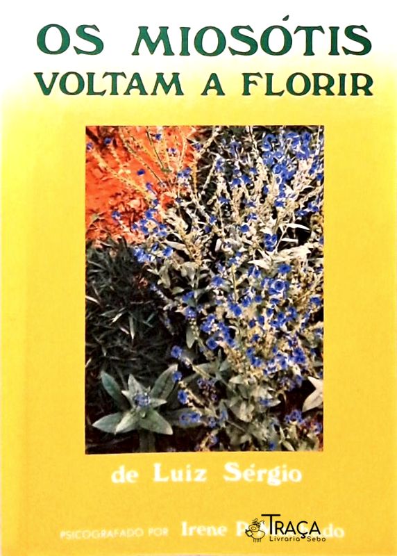 Os Miosótis Voltam a Florir