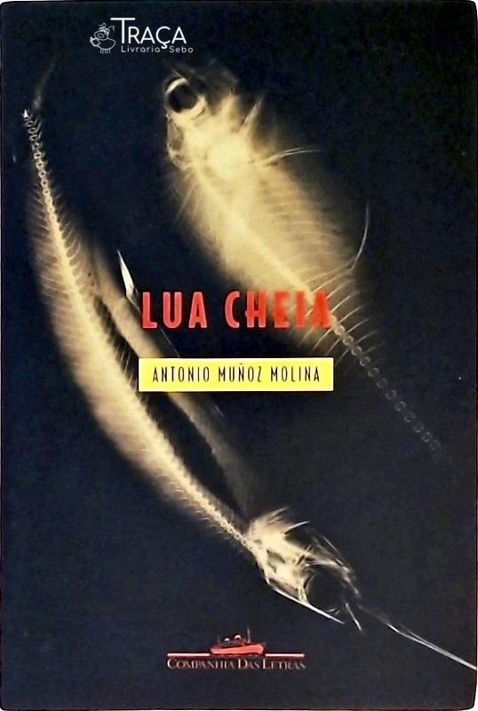Lua Cheia