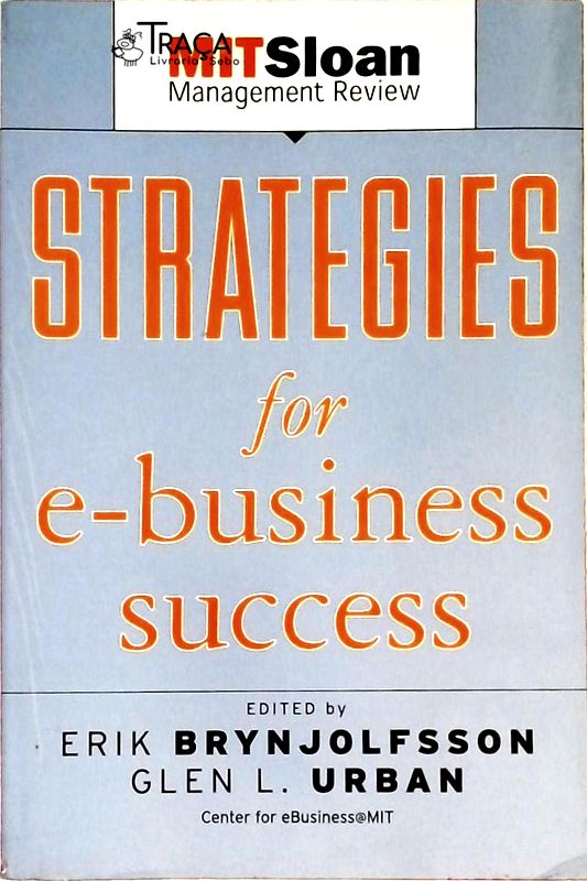 Strategies For E-business Success
