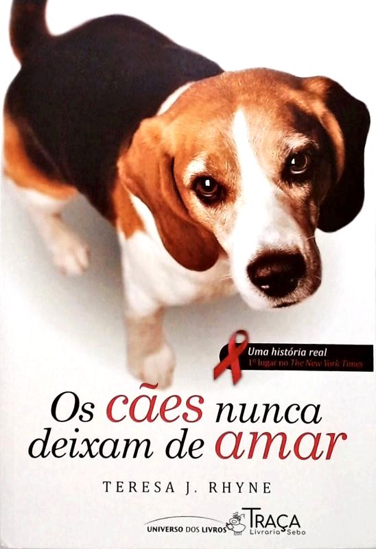Os Cães Nunca Deixam de Amar