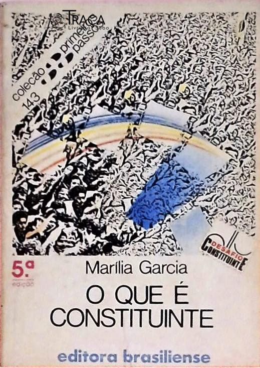 O Que É Constituinte