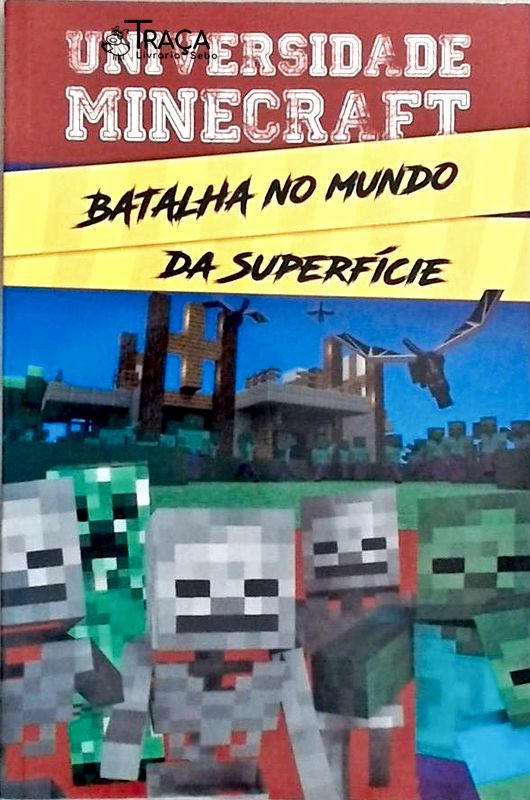 Universidade Minecraft - Batalha No Mundo Da Superfície
