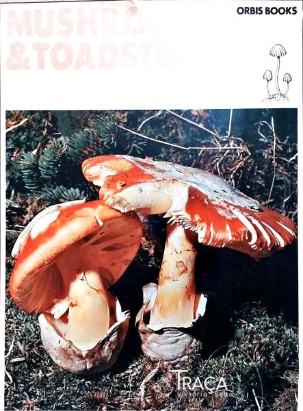 Mushrooms And Toadstools