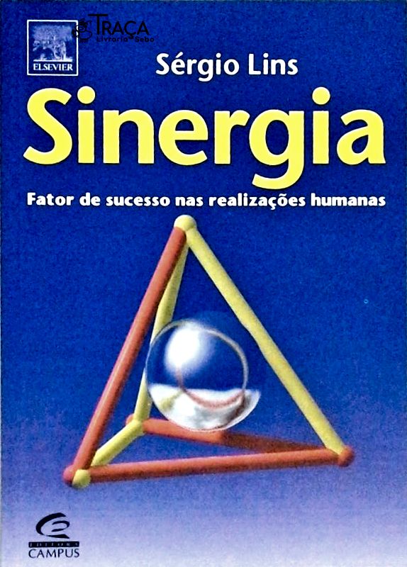 Sinergia - Fator de Sucesso Nas Realizações Humanas