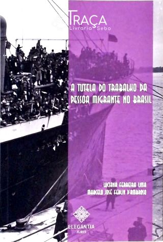 A Tutela do Trabalho da Pessoa Migrante No Brasil
