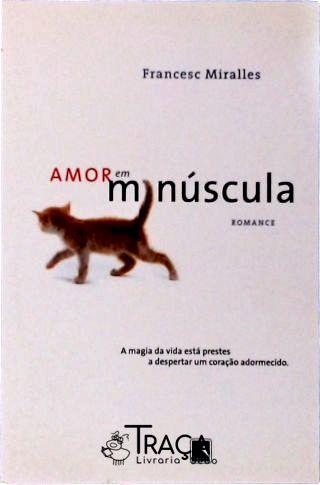 Amor Em Minúscula
