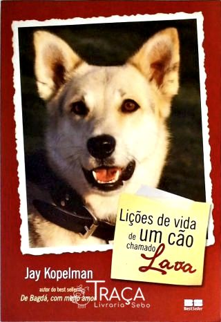 Lições de Vida de Um Cão Chamado Lava