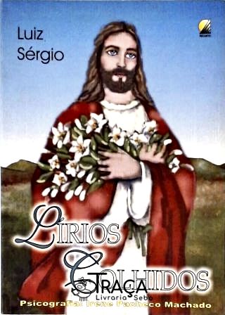 Lírios Colhidos