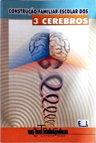 Construção Familiar-escolar Dos 3 Cérebros