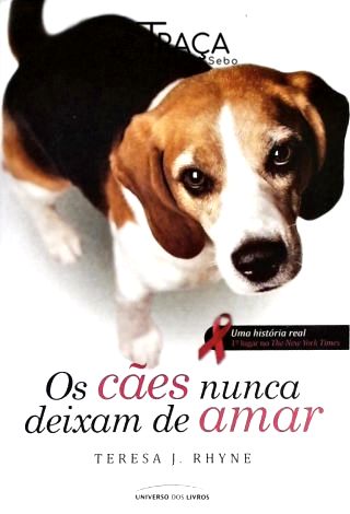 Os Cães Nunca Deixam de Amar