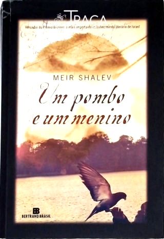 Um Pombo e Um Menino