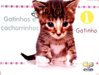 Gatinhos e Cachorrinhos