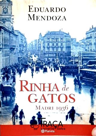 Rinha de Gatos