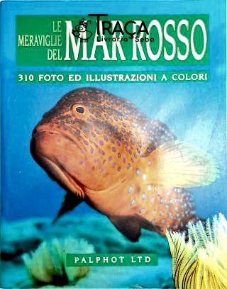 Le Meraviglie Del Mar Rosso