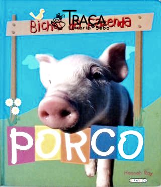 Bichos Da Fazenda - Porco
