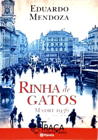 Rinha de Gatos