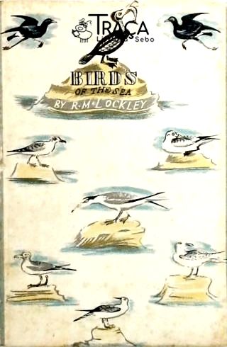 Birds Of The Sea