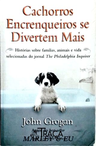 Cachorros Encrenqueiros Se Divertem Mais