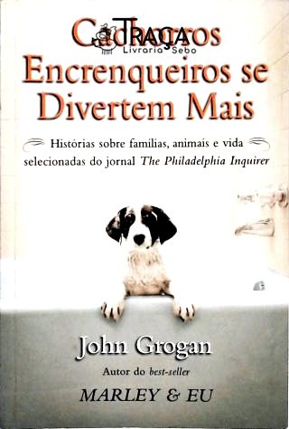 Cachorros Encrenqueiros Se Divertem Mais
