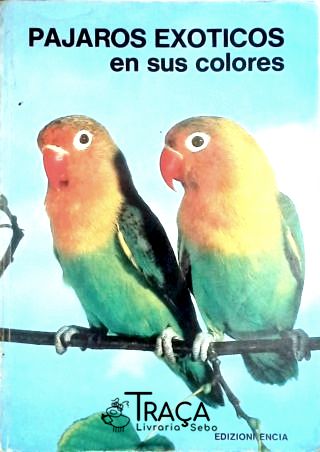Pajaros Exoticos En Sus Colores