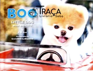 Boo - Little Dog In The Big City