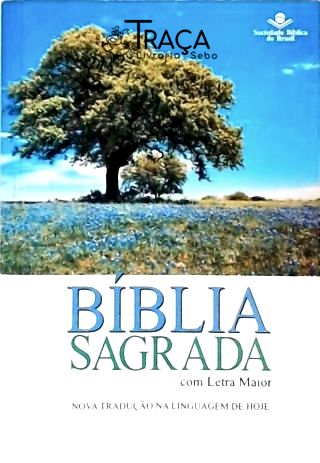 Bíblia Sagrada com Letra Maior
